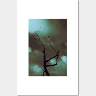 Witchy wicked tree Posters and Art